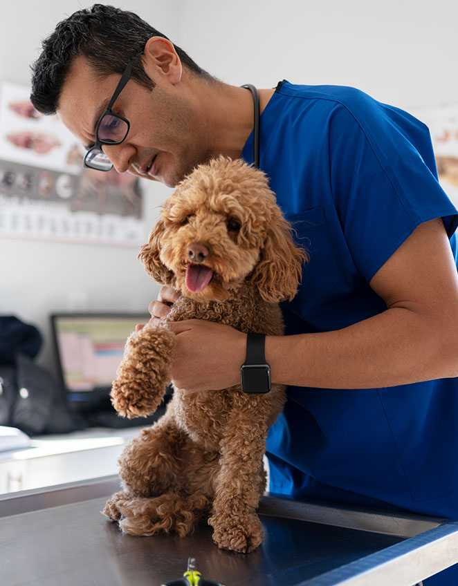 SBA Loan for Veterinarian Business Funding and Financing